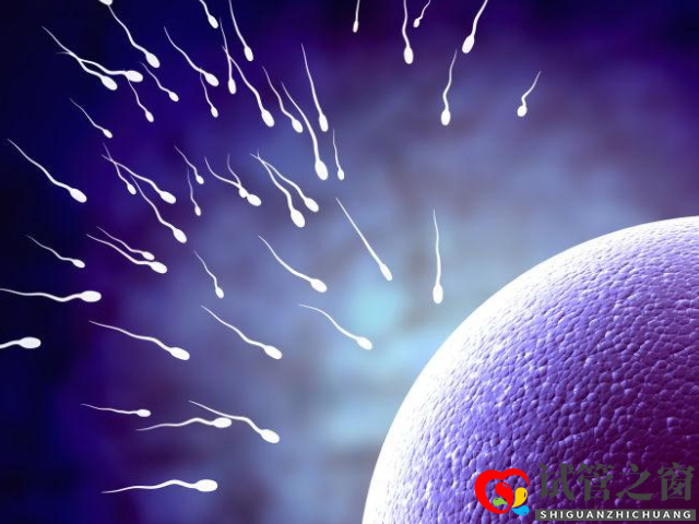 精子质量差做试管成功率一览,这些提升成功率方法不得不看(图3) 做试管精子质量差需要调理