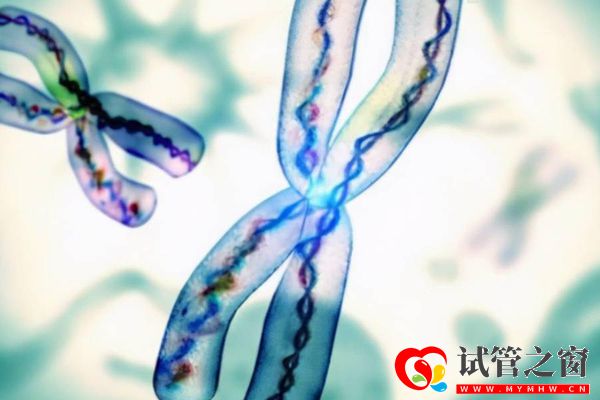 胎儿染色体报告单这样看是否正常,附3种看男女方法都说准(图1) 染色体数目和结构可看是否正常