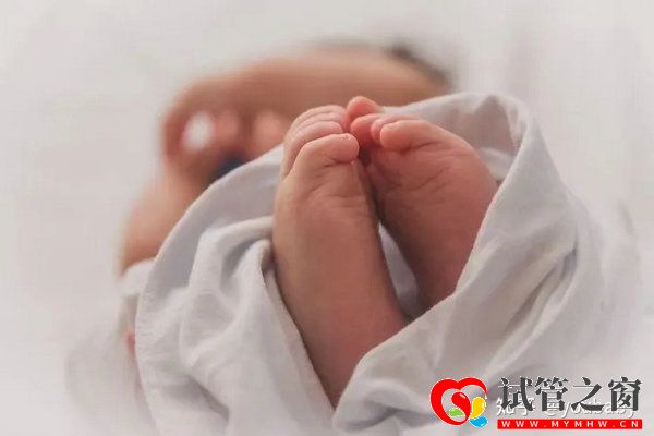 卵巢早衰人群如何提高试管成功率三大秘籍帮助您!(图1) 卵巢早衰人群如何提高试管成功率三大秘籍帮助您!(图1)