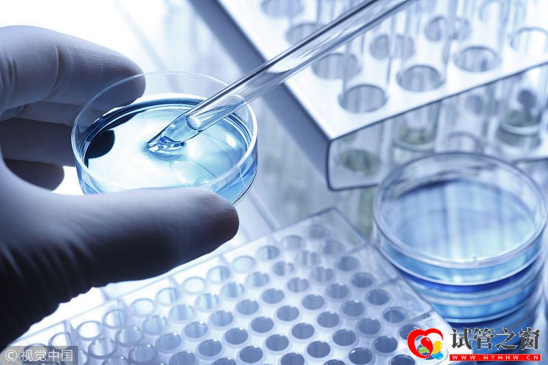 济南试管婴儿医院排名(图1) 济南试管婴儿医院排名(图1)