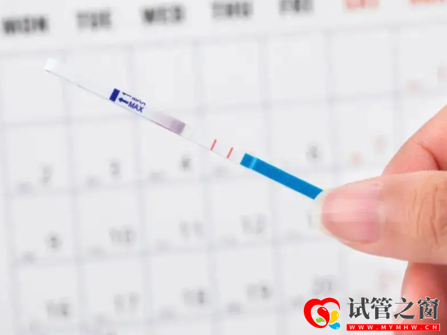 单角子宫也能生小孩,5个备孕小窍门让你快速好“孕”(图3) 排卵期同房怀孕几率大