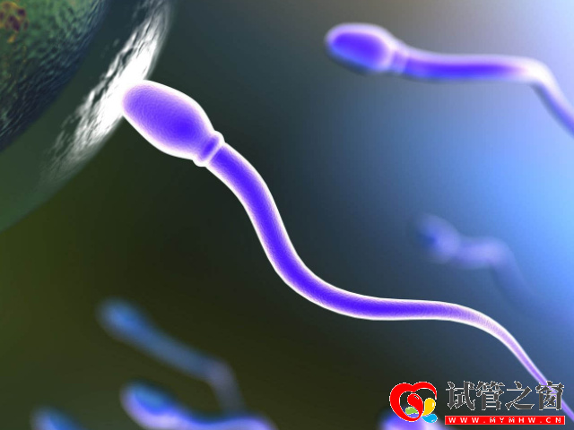 备孕男性仅需5招可快速增加精子活力,帮你早日成就“爸业”!(图3) 烟酒有害精子