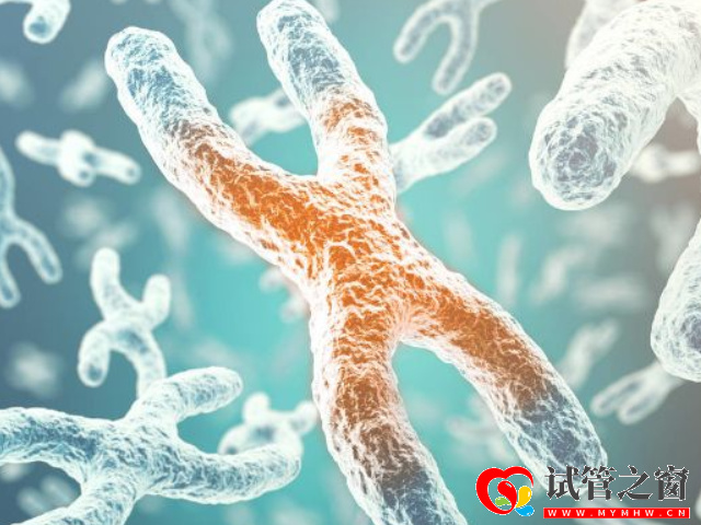 染色体数目异常遗传病种类盘点,如有发现先咨询再备孕(图1) 三种常见染色体异常遗传病