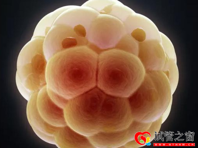 30岁女性每月基础卵泡正常范围,超过是多囊低于是卵衰(图1) 基础卵泡又叫做始基卵泡