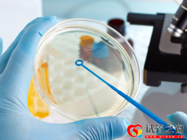 三代试管详细流程讲解,从前期检查到移植大概就2至3个月(图2) 三代试管过程大约需要2-3个月