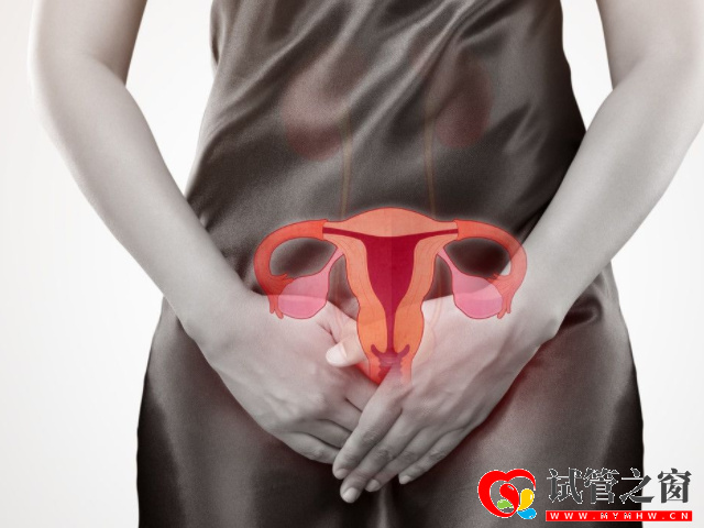 多囊做试管真不是利大于弊,看看这些优劣势就知道了(图1) 多囊会导致女性难以怀孕