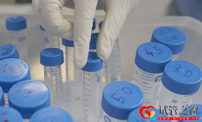 性别鉴定、包生男女三代试管「乱象」缘何产生(图3) 性别鉴定、包生男女三代试管「乱象」缘何产生(图3)