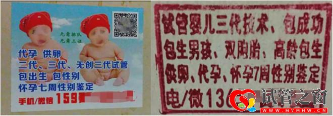 性别鉴定、包生男女三代试管「乱象」缘何产生(图5) 性别鉴定、包生男女三代试管「乱象」缘何产生(图5)