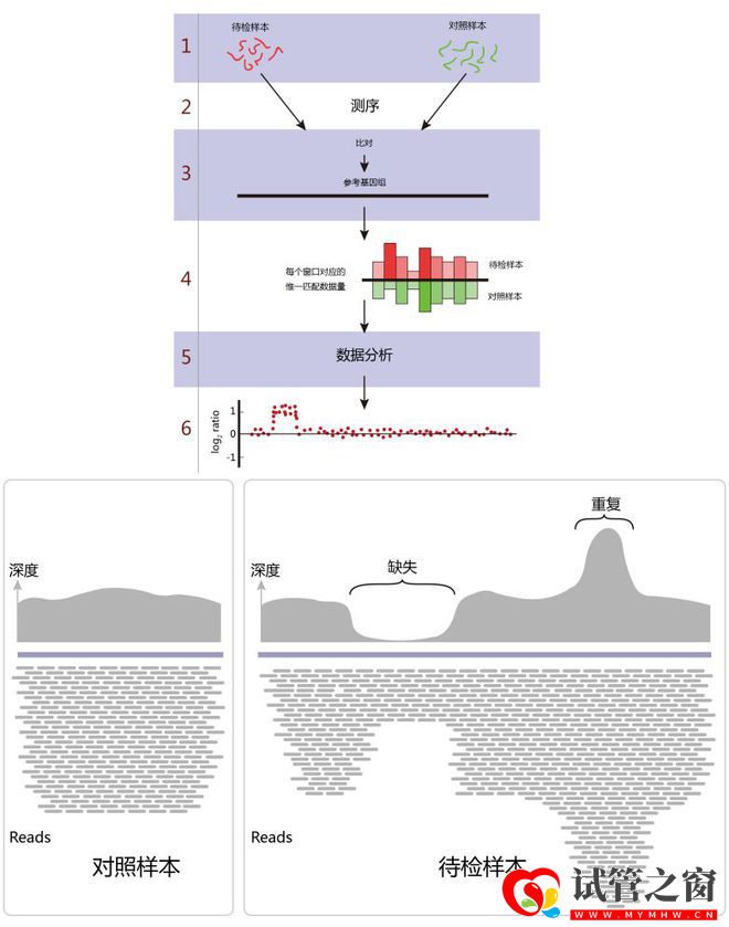 国内首个三代试管创新产品获批上市,胚胎领域黑科技到底牛在哪(图2) 国内首个三代试管创新产品获批上市,胚胎领域黑科技到底牛在哪(图2)