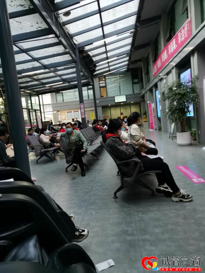 第三代试管婴儿到底要怎么操作呢(图1) 第三代试管婴儿到底要怎么操作呢(图1)