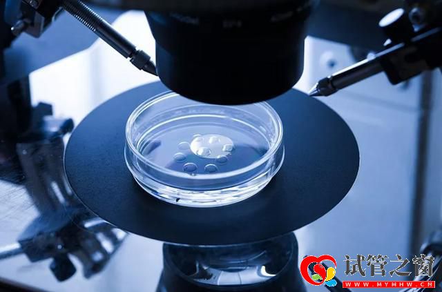 罕见病日,省妇幼送出10个免费的“第三代试管婴儿”名额(图3) 罕见病日,省妇幼送出10个免费的“第三代试管婴儿”名额(图3)