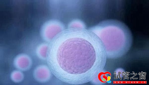 进行三代试管婴儿会有什么风险吗(图2) 进行三代试管婴儿会有什么风险吗(图2)