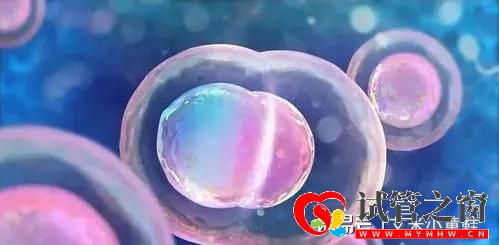 久备不孕,三代试管一次成功收获双胎(图1) 久备不孕,三代试管一次成功收获双胎(图1)