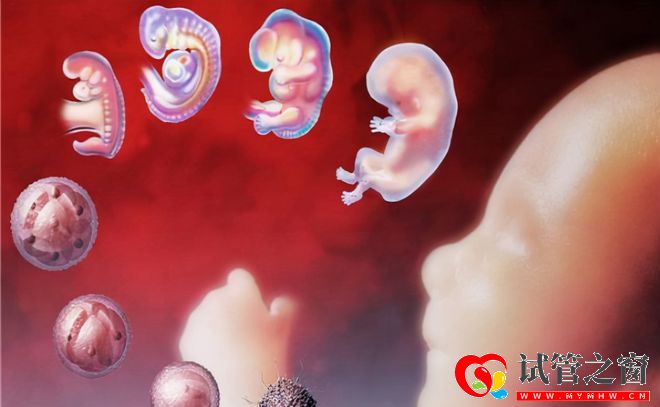 每年有30万名试管婴儿诞生!费用要10万起效果却因人而异(图1) 每年有30万名试管婴儿诞生!费用要10万起效果却因人而异(图1)