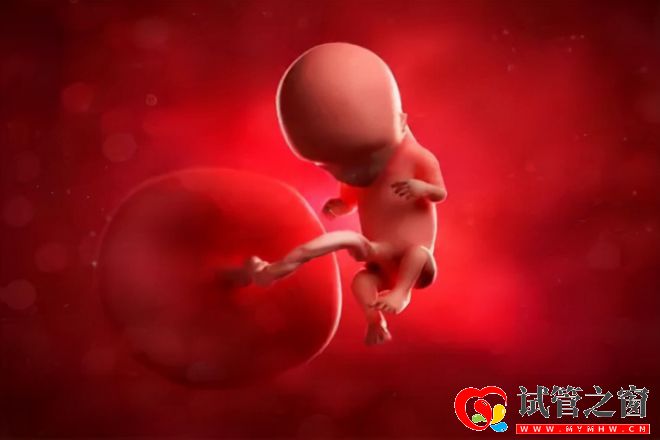 每年有30万名试管婴儿诞生!费用要10万起效果却因人而异(图4) 每年有30万名试管婴儿诞生!费用要10万起效果却因人而异(图4)