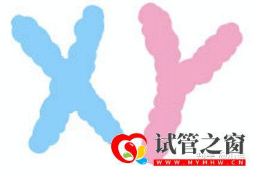 三代试管的真相,80%的人都不知道!学姐说(图3) 三代试管的真相,80%的人都不知道!学姐说(图3)