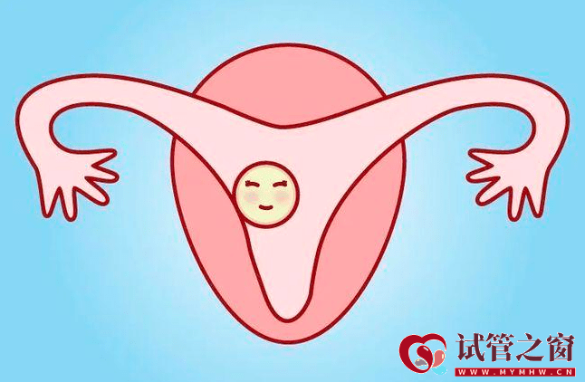 喝豆浆、吃榴莲能长内膜吗?(图2) 喝豆浆、吃榴莲能长内膜吗?(图2)