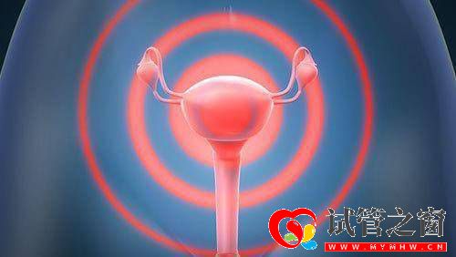 三代试管移植后如何快速着床?(图2) 三代试管移植后如何快速着床?(图2)