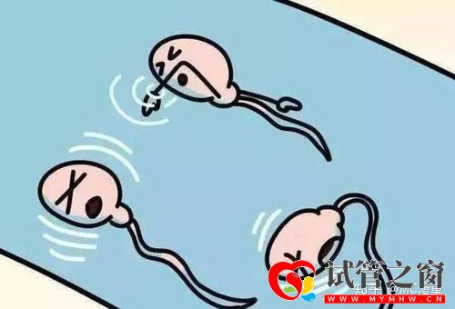 三分钟教你分辨死精和弱精(图2) 三分钟教你分辨死精和弱精(图2)