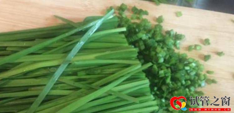 平时常见的韭菜鸡蛋,一起搭配不仅美味,还可以保护子宫与卵巢(图1) 平时常见的韭菜鸡蛋,一起搭配不仅美味,还可以保护子宫与卵巢(图1)