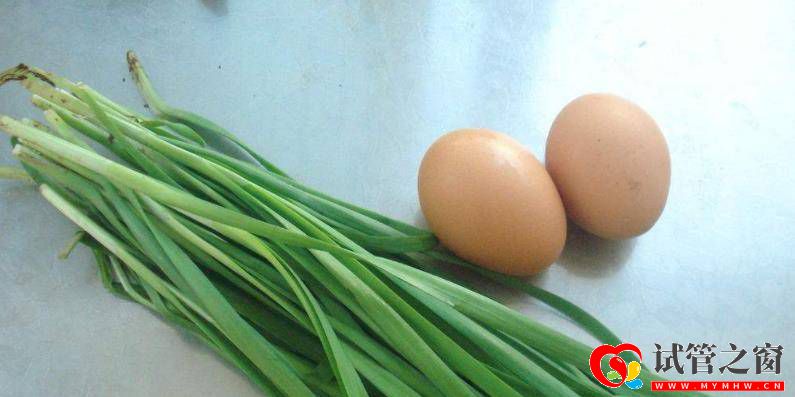 平时常见的韭菜鸡蛋,一起搭配不仅美味,还可以保护子宫与卵巢(图2) 平时常见的韭菜鸡蛋,一起搭配不仅美味,还可以保护子宫与卵巢(图2)