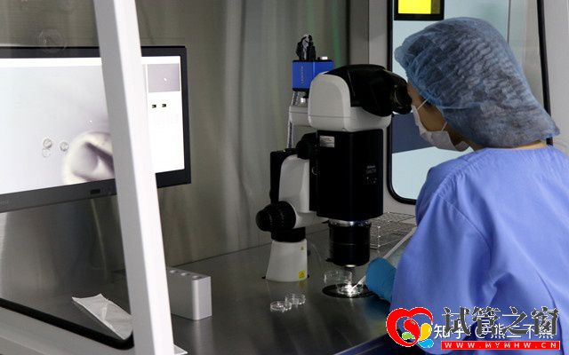 一起来看下试管婴儿的花费明细表(图1) 一起来看下试管婴儿的花费明细表(图1)