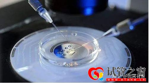 同性伴侣也可以生育自己的孩子(图2) 同性伴侣也可以生育自己的孩子(图2)