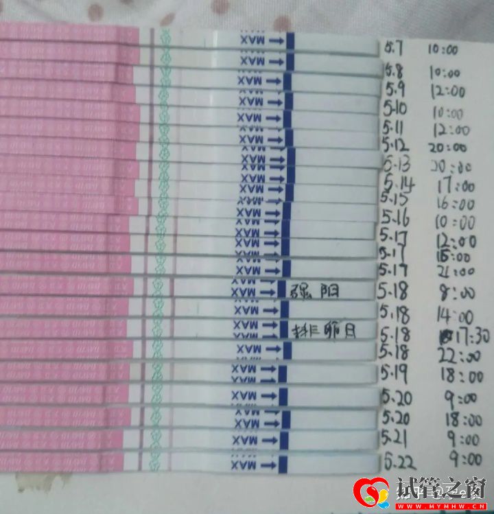 这样的同房方式更容易怀孕!(图3) 这样的同房方式更容易怀孕!(图3)