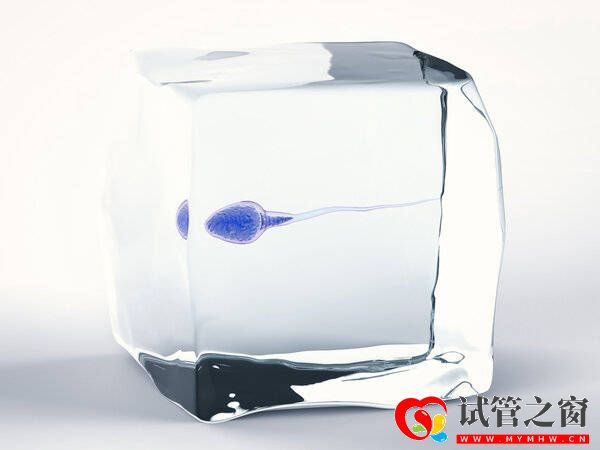 试管之窗:死精症是什么原因导致的?(图1) 试管之窗:死精症是什么原因导致的?(图1)