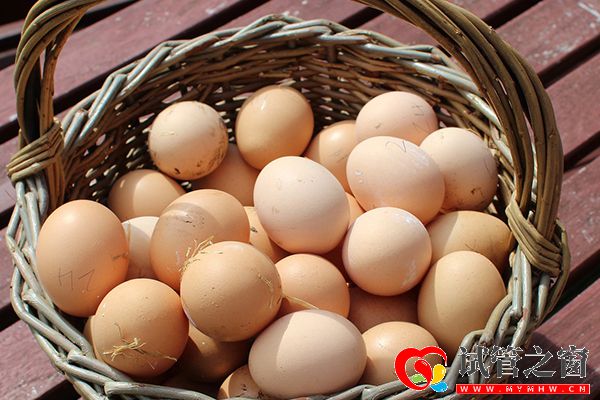 十大补脑食物排名来了,这3种食谱适合高三学生(图3) 鸡蛋是补脑食材之一