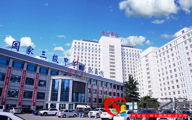 黄河三门峡医院试管婴儿费用表, 总花费明细实例参考(图1) 黄河三门峡医院