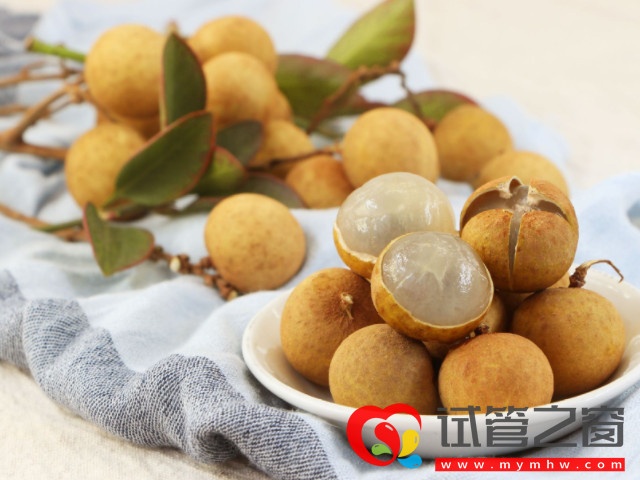 试管移植后吃桂圆对着床影响不大,但多吃会造成4大危害(图3) 移植后吃桂圆会影响着床