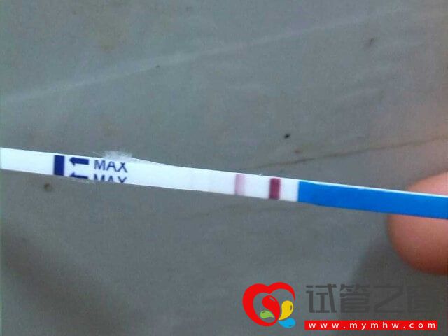 移植4bb囊胚后最早几天能用试纸测出怀孕?(图1) 移植4bb囊胚一周测怀孕