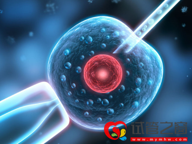 卵子老化的大龄女性看过来,第四代试管婴儿帮你圆梦(图1) 第四代试管技术可以改善卵子质量问题