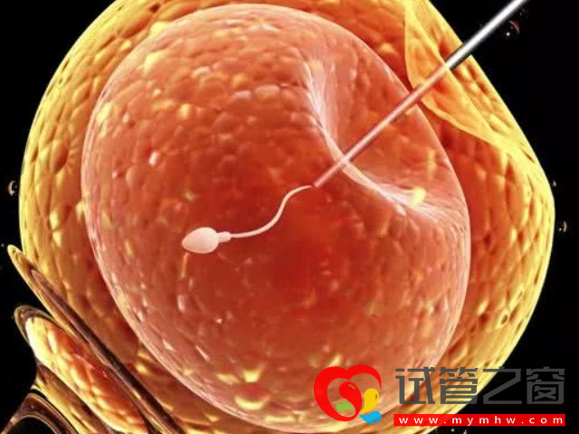 卵子老化的大龄女性看过来,第四代试管婴儿帮你圆梦(图2) 四代试管主要是通过线粒体移植疗法