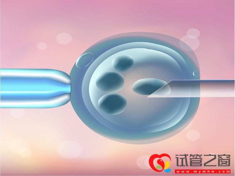 第四代试管婴儿和三代有什么区别?(图1) src=http___inews.gtimg.com_newsapp_bt_0_11148794004_1000.jpg&refer=http___inews.gtimg.jpg