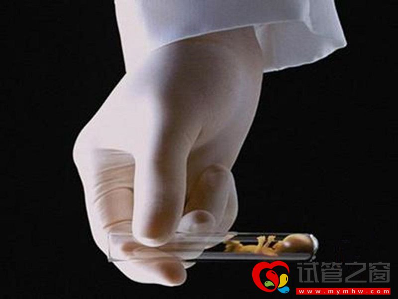 第四代试管婴儿和三代有什么区别?(图2) src=http___img.alicdn.com_tps_TB21DIrnVXXXXaaXXXXXXXXXXXX_!!2-dgshop.png&refer=http___img.alicdn.jpg