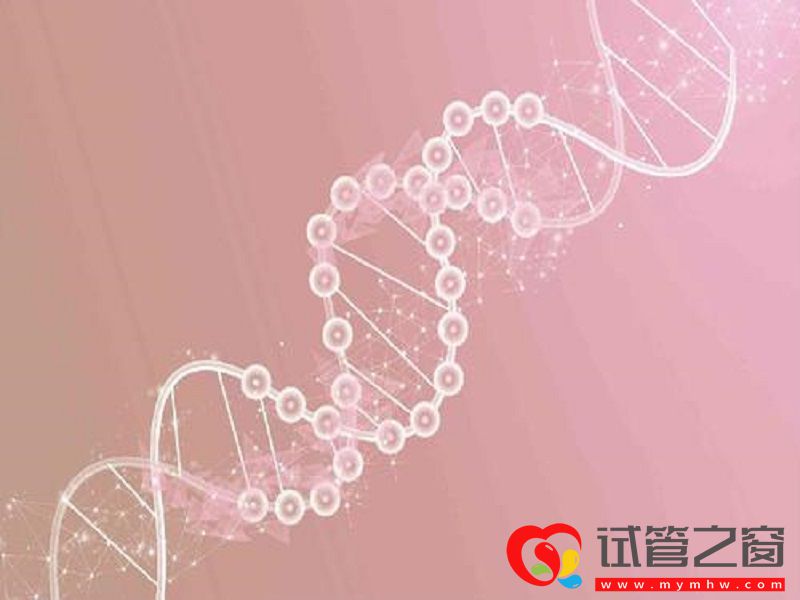 第四代试管婴儿技术有什么优缺点?(图3) u=3066885434,3415549192&fm=26&gp=0.jpg