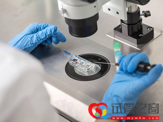 身体正常可以在国内选择三代试管生男孩吗?(图1) 不孕不育家庭可以做三代试管