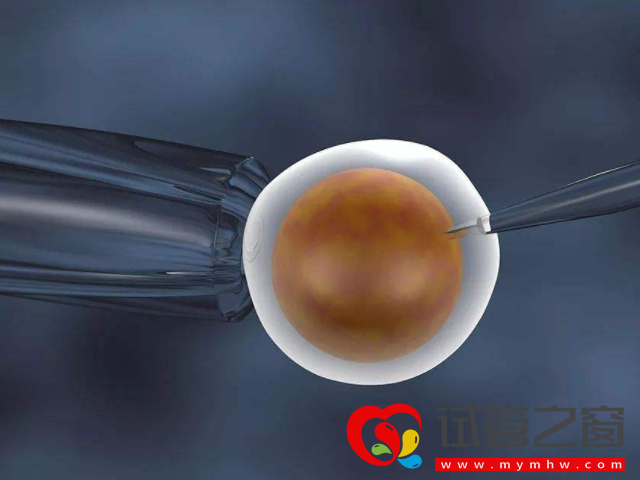 试管冻囊胚移植后大忌,完全掌握可保一次性成功(图1) 冻囊胚移植