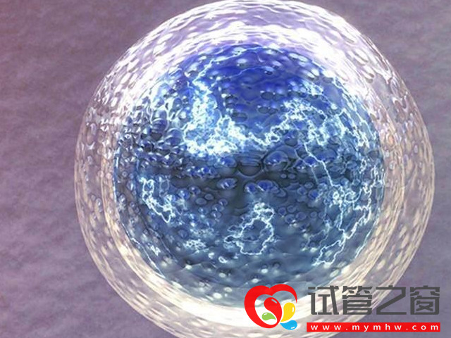 试管婴儿全胚冷冻适用这8种情况,看完不用再问医生了(图1) 需要全胚冷冻的情况