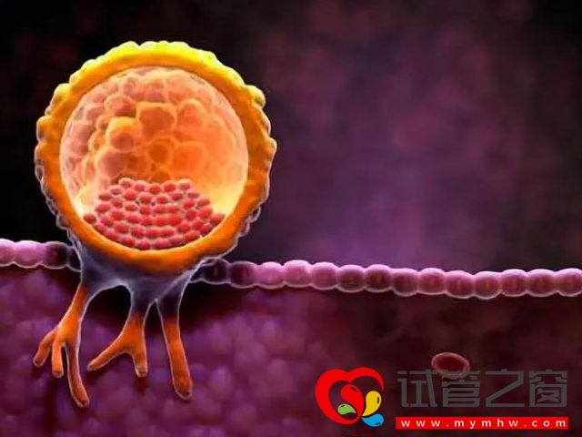 试管婴儿全胚冷冻适用这8种情况,看完不用再问医生了(图3) 促排卵方案不适合鲜胚移植者