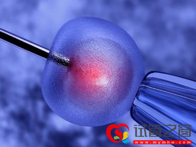 试管婴儿全胚冷冻适用这8种情况,看完不用再问医生了(图4) 盆腔异常情况者需要冻胚