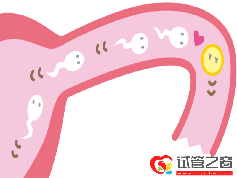不知道黄体期方案要促排几天!听听医生怎么说(图1) 试管黄体期促排天数
