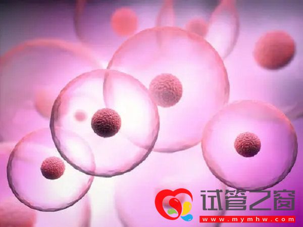 海南省妇幼保健院试管婴儿费用参考, 造娃价目表一览(图2) 不孕能在海南省妇幼保健院做试管