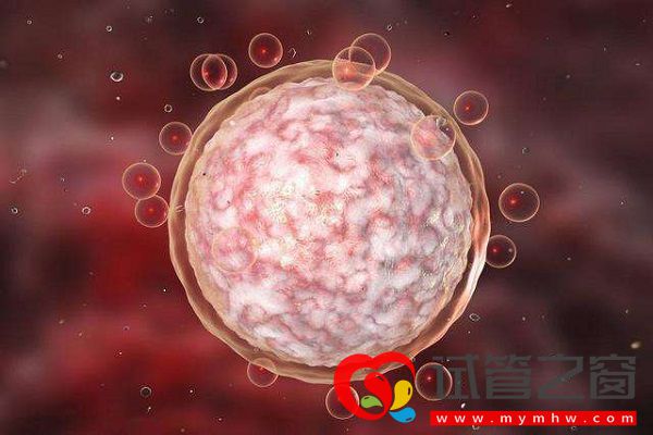 防止试管婴儿出现空卵泡讲方法,找准原因才好解决(图1) 空卵泡又称空卵泡综合症