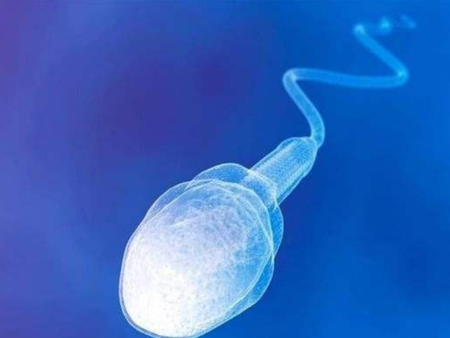 男人少精症正常怀孕几率也不低,关键点在查明原因!(图1) 少精症会影响男性生育能力