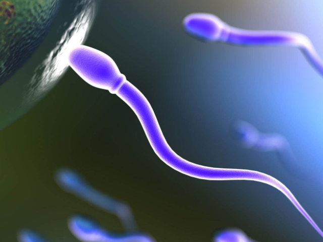 男人少精症正常怀孕几率也不低,关键点在查明原因!(图2) 生殖道感染会引起少精症