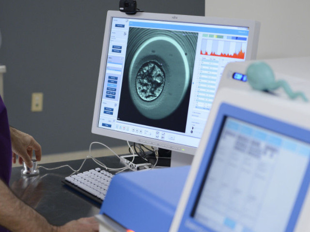 2023国内最新冻卵政策解读,已全面趋于合法化!(图2) 单身女性不能冻卵