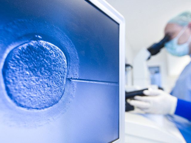 2023国内最新冻卵政策解读,已全面趋于合法化!(图3) 国内冷冻卵子技术合法